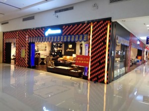 公司介绍